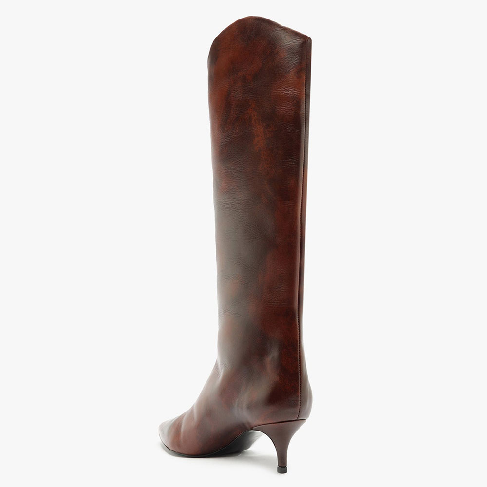 Brown Gradient Pointed Toe Kitten Heel Knee High Boots for Women