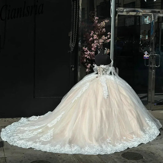 Elegant Ivory Applique Sweet 16 Quinceanera Tulle A-Line Prom Dress Birthday Dress Evening Dress Ball Gown TP4530
