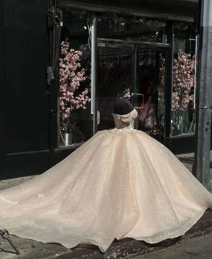 Elegant Shiny Champagne Off-the-shoulder Sweet 16 Quinceanera Tulle A-Line Prom Dress Birthday Dress Evening Dress Ball Gown TP4529