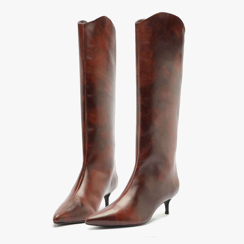 Brown Gradient Pointed Toe Kitten Heel Knee High Boots for Women