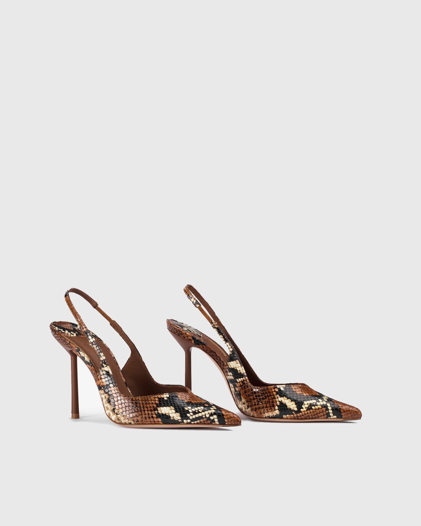 Saint Snake Print Slingback Pumps In Brown