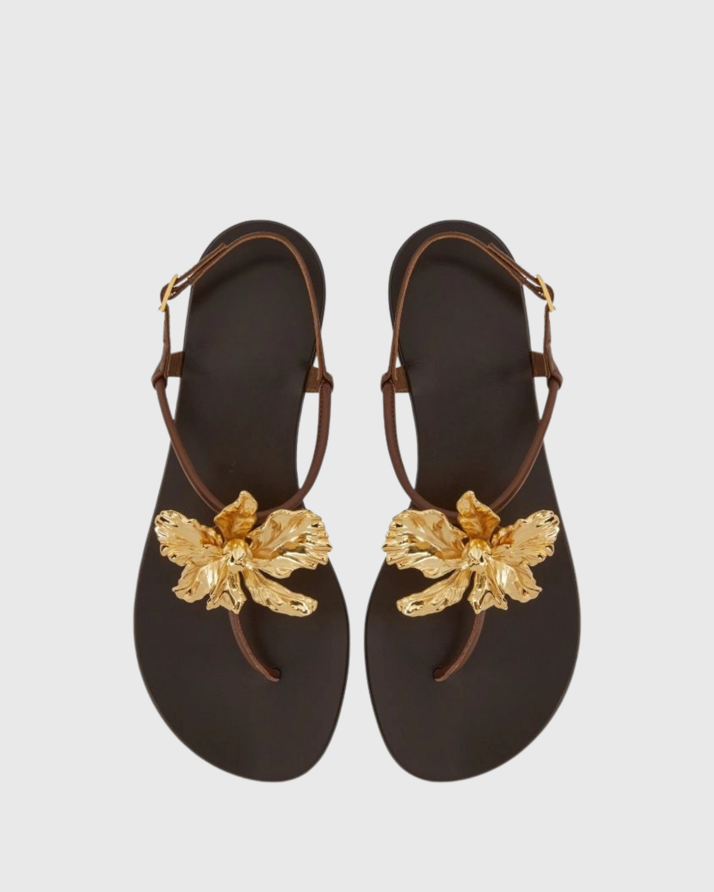 Vail Gold Flower Thong Flats In Dark Brown