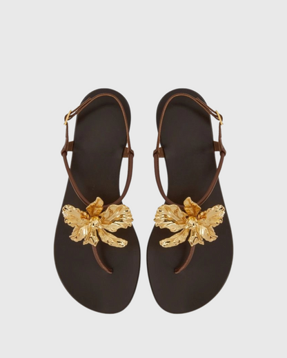 Vail Gold Flower Thong Flats In Dark Brown