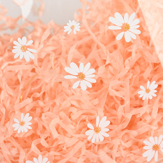 Creative Daisy Printed Transparent Clear PVC Wedding Candy Gift Bag